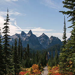 SEATTLE CHARITY EVENTS